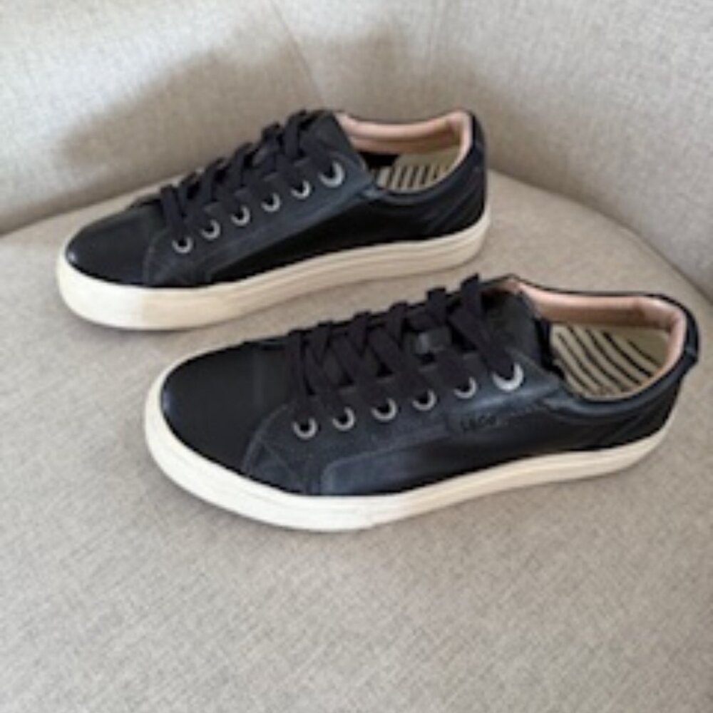 Taos Plim Soul Lux Leather Sneakers – Black